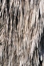 Vertical palm thatch backgrouind