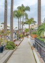 Vertical Palm tree lined walkway along houses and canal in scenic Long Beach California