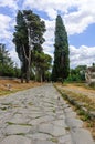Vertical panorama of the Appian Way, Rome