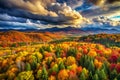 Vertical panorama of autumn forest with dramatic sky Royalty Free Stock Photo