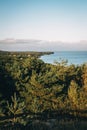 Vertical panorama of pine trees and coastline. Beautiful nature background. Royalty Free Stock Photo