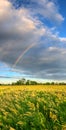 Vertical panorama with rainbow Royalty Free Stock Photo