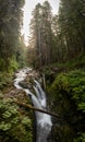 Vertical Panorama Of Sol Duc Falls Looking Up River Royalty Free Stock Photo