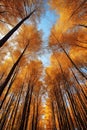 Vertical panorama, vertorama of bright autumn forest. With Generative AI technology Royalty Free Stock Photo