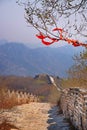 Vertical panoramic view of the Mutianyu section of the Great Wall of China, surrounded by green and yellow vegetation