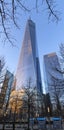 Vertical panoramic view of One World Trade Center skyscraper at sunset. Lower Manhattan, Financial District, New York City