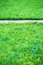 Vertical park path with green grass background