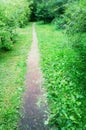 Vertical park path landscape background