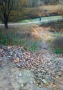 Vertical park walker autumn landscape background