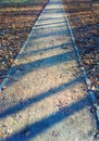 Vertical park walking path landscape background