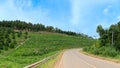 Vertical path of asphalt road and curve ahead. Royalty Free Stock Photo