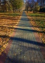 Vertical path in autumn park landscape background