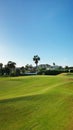 Beautiful tropical golf course fairway with palm trees, blue sky and neat green grass, in Tenerife, Canary Islands Royalty Free Stock Photo