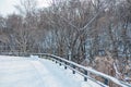 Vertical Perspective of a Snow Covered Road Winding Through a Dense Forest of Bare Winter Trees and Railing Royalty Free Stock Photo