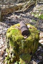 Vertical photo of artillery whizzbang high explosive of the Second World War on stump in forest of Belarus