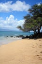 Vertical photo of beach with Many Lava rocks trees Mountains on a ocean in Hawaii Royalty Free Stock Photo