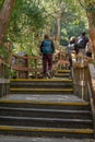 Vertical photo from behind of tourists walking through a narrow stair path surrounded by a forest full of big green trees in Royalty Free Stock Photo