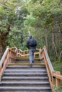 Vertical photo from behind of tourists walking through a narrow stair path surrounded by a forest full of big green trees in Royalty Free Stock Photo