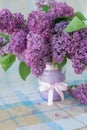 Vertical photo of a bouquet of flowers with lilac petals in a vase with a bow on a table with a checkered tablecloth Royalty Free Stock Photo