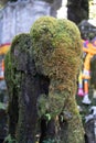 Vertical photo of the detail of the head of a statue of a mossy elephant in front of a Hindu temple