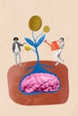 Vertical photo drawing collage of two youngsters watering brain money coin growing concept of business plan idea on