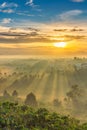 Vertical photo of foggy mountain in beautiful sunrise morning Royalty Free Stock Photo