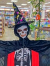 Funny skeleton Halloween decoration at the bookstore Royalty Free Stock Photo