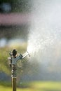 Vertical photo of garden sprinkler in sunny backyard