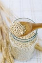 Raw Oats in Wooden Spoon