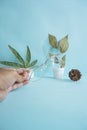 vertical photo. glasses, hands, pine flowers and green leaves on pink paper background. minimalist concept idea