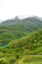 Vertical photo of green Taiwanese lanscape by Thousand Island Lake. Adjacent Pinglin Tea Plantation by the coast. Foggy, moody