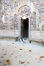 Cat in front of an ornate entrance to the Quinta da Regaleira castle in Sintra, Portugal