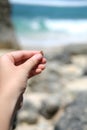 A vertical photo of a hermit crab being held in the hand of a young woman. Royalty Free Stock Photo