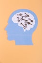 Vertical photo of human head silhoutte with various keys in brain ares. Light beige background. Engineer thinking concept Royalty Free Stock Photo