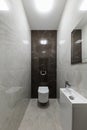 Vertical photo of Interior design toilet bowl with sink in the toilet in the apartment. Design in beige tones with an insert of a