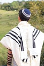 Vertical photo. Jewish man praying with talit, kippah and tefillin in nature with beautiful green meadow in the