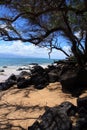 Vertical photo Many Lave rocks trees Mountains on a ocean in Hawaii Royalty Free Stock Photo