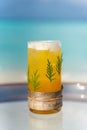 Vertical photo of new year and christmas theme cocktail with pine leaves on the glass on the beach Royalty Free Stock Photo