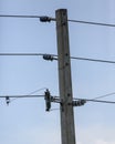 Vertical Photo of Power Pole and Electrical Wires
