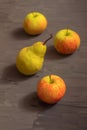 Three fresh fruit with an apple tree and one yellow pear on a dark gray background Royalty Free Stock Photo