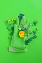 Vertical photo.Spring composition of green horticultural glove and wildflowers,garden flowers and aromatic herbs
