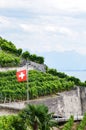 Vertical photo of the terraced vineyards on the slopes by Lake Geneva in Switzerland photographed on an overcast day. Waving Swiss Royalty Free Stock Photo