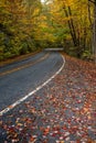 Curved Country Scenic Road Surrounded by Colorful Autumn Trees