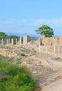 Vertical photography of famous ruins of ancient city Salamis. Salamis was a Greek city-state located near Famagusta