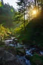 Vertical photography morning peaceful beautiful landscape in highland mountain forest with rocky stream and background sun rise Royalty Free Stock Photo