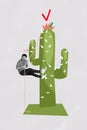 Vertical picture collage poster young energetic man climbing up rope achieve goal target destination cactus plant dream Royalty Free Stock Photo