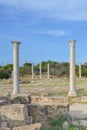 Vertical picture of Corinthian columns surrounded by ancient ruins with blue sky above. Taken in famous Salamis, near Famagusta