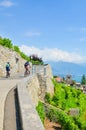 Vertical picture of cyclists driving on panoramic path along terraced vineyards on hills by Lake Geneva, Switzerland. Lavaux wine