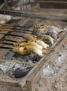 Vertical picture of fish grilling on sticks on fire with a blurry background Royalty Free Stock Photo