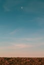 Vertical picture of the moon and the blue sky above a field during the sunset in the evening Royalty Free Stock Photo